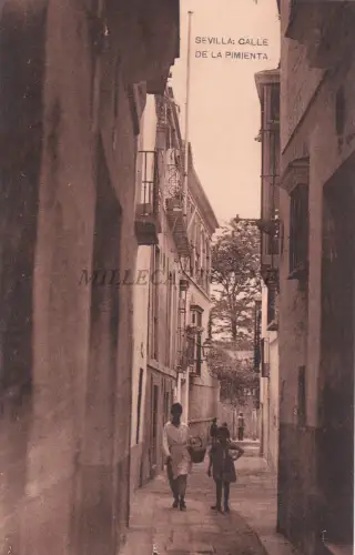 SPANIEN - Sevilla - Calle de la Pimienta