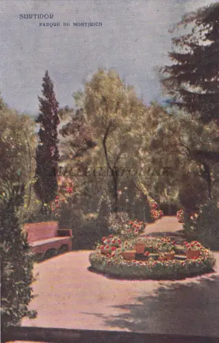 SPANIEN - Barcelona - Surtidor - Montjuich - Ed.Victoria N.Coll Salieti