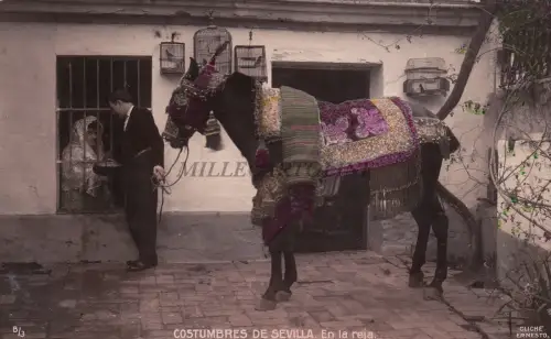 SPANIEN - Sevilla - Bräuche - Auf dem Gitter
