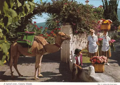 SPANIEN - Kanarische Inseln - Eine typische Szene