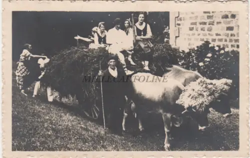 SPANIEN - San Sebastian - Costumbres Vascas - Foto Postkarte