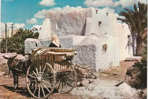 SPANIEN - Ibiza - Construccion y Vehiculo Tipicos 1965