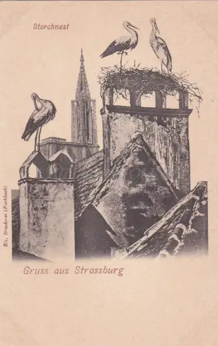 FRANKREICH - Gruss aus Strassburg - Storchnest