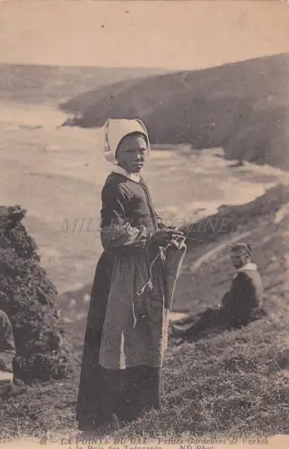 FRANKREICH - La Pointe du Raz - Petite Gardenses de Vaches à la Baie des Trepassés