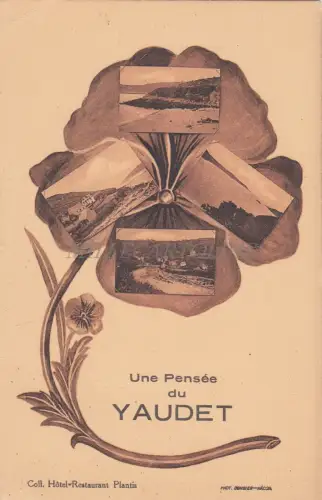 FRANKREICH - Une Pensée du Yaudet - Ansichten - Blume