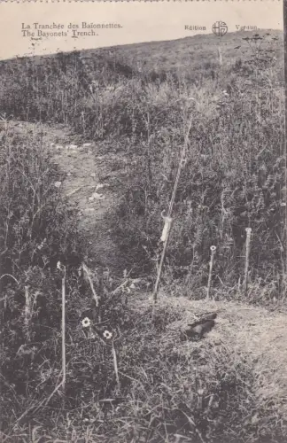 FRANKREICH - Verdun - La Tranchée des Baionettes - WWI
