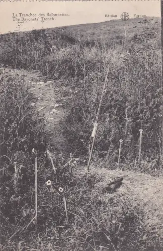 FRANKREICH - Verdun - La Tranchée des Baionnettes - WWI