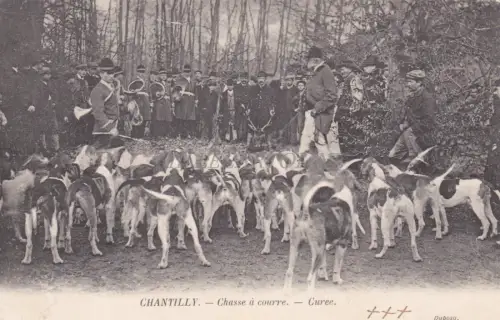 FRANKREICH - Chantilly - Laufjagd - Pfarrer 1905