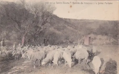 FRANKREICH - La Sainte Baume - Rückkehr der Herde auf dem Bauernhof Portalier