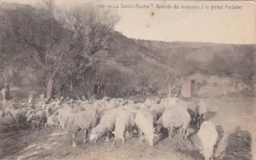 FRANKREICH - La Sainte Baume - Rückkehr der Herde auf dem Bauernhof Portalier