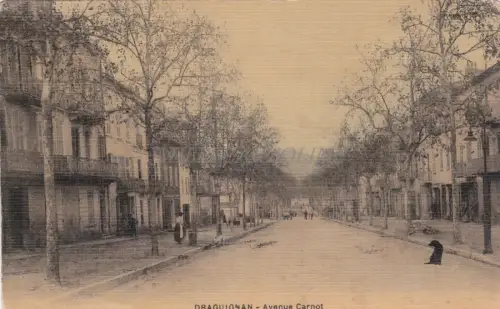 FRANKREICH - Draguignan - Avenue Carnot
