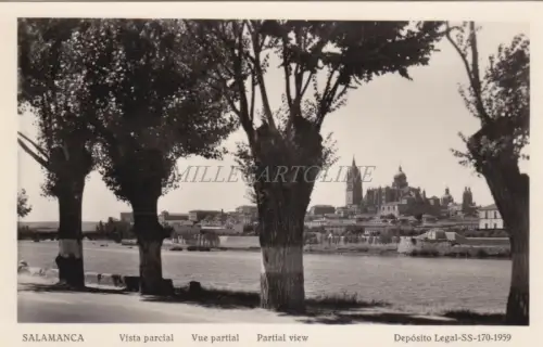SPANIEN - Salamanca - Vista Parcial - Foto Postkarte