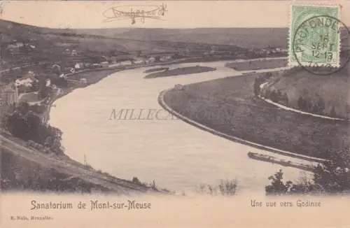 BELGIEN - Sanatorium Mont sur Meuse - Blick auf Godinne 1913