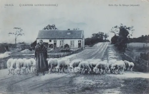 BELGIEN - Genck - Campiné Limbougeoise - Genk
