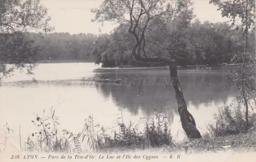 FRANKREICH - Lyon - Parc de la Tete-d'Or, Lac et Ile des Cygnes
