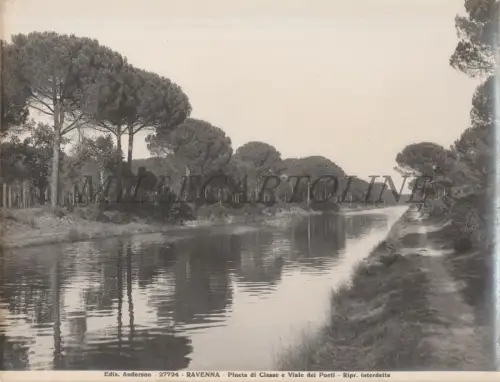 RAVENNA - Pineta di Classe und Viale dei Poeti, Foto Ediz. Anderson