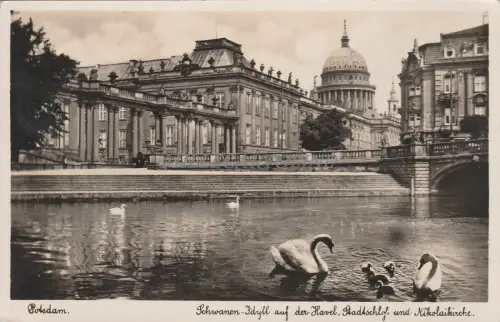 DEUTSCHLAND - Potsdam - Schwanen-Idryll auf Havel - Foto AK 1939