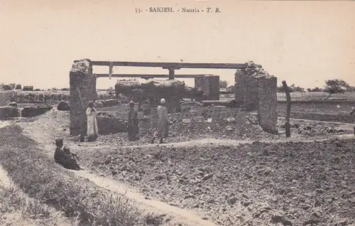 ÄGYPTEN - Sakieh, Nauria