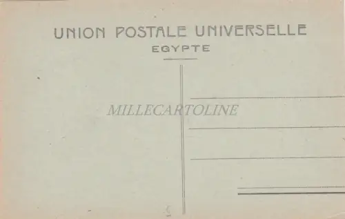 ÄGYPTEN - Sakieh, Nauria