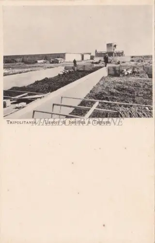 LIBYEN - Mustermesse Tripolis - Schneidsanierung