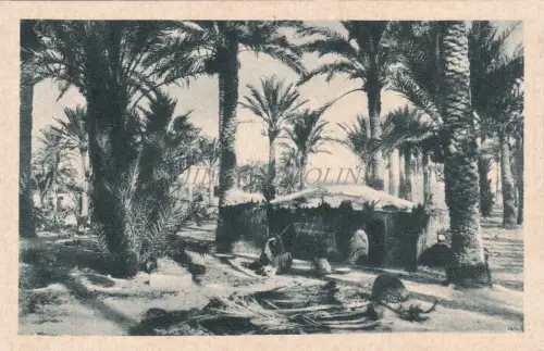 LIBYEN - Arabisches Zelt - Nacharbeitsbehörde für Kyrenaika