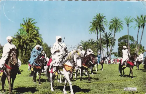 MAROKKO - Szenen und Typen - Berberreiter - Foto Postkarte 1963
