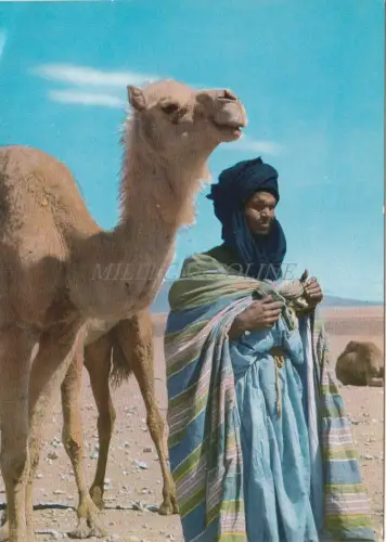 MOROCCO - Herren blau aus der Sahara