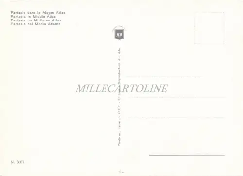 MOROCCO - Fantasia im Mittleren Atlas