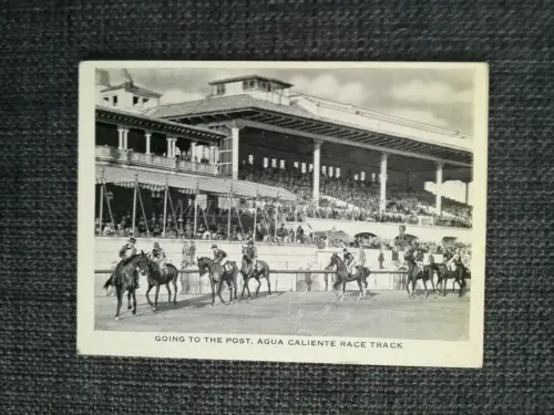 MEXICO - Tijuana, Agua Caliente Rennstrecke, illustrierter Karton