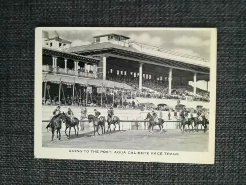 MEXIKO - Tijuana, Agua Caliente Rennstrecke, illustrierter Karton
