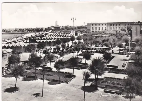 FEST: Giardini Lido 1959