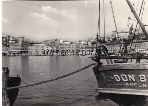 ANCONA: Panorama 1955