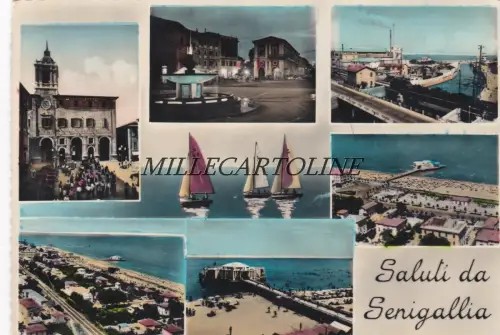 SENIGALLIA: Gruss aus - verschiedenen Ansichten 1955