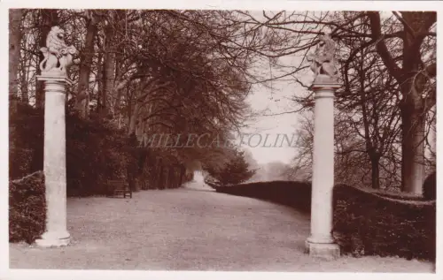 ENGLAND - Polesden Lacey, The Long Walk, Fotopostkarte