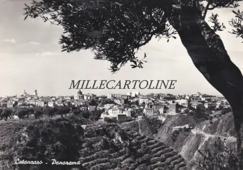 CATANZARO: Panorama 1959