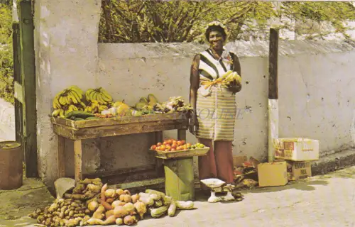 BARBADOS - Ein typischer Gemüseverkäufer 1976