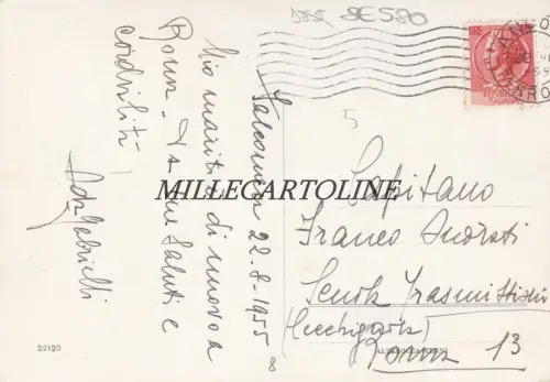 FALCONARA M.: Panorama 1955