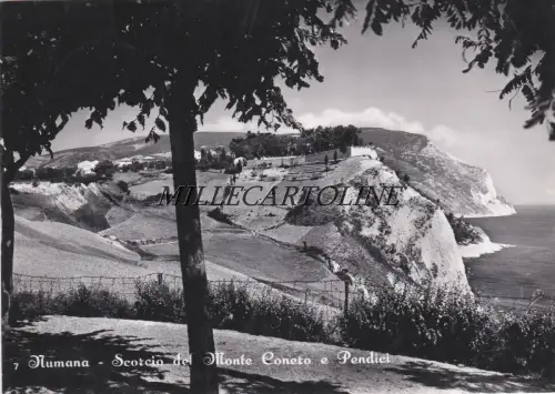NUMANA: Blick vom Monte Conero und Hänge 1955