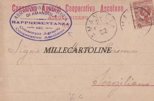 ASCOLI PICENO: Kopfstück Consorzio Agrario Coop. Ascolano - 1902