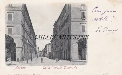 ANCONA: Corso Vittorio Emanuele 1901