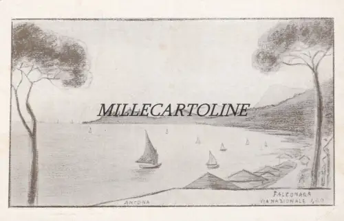 ANCONA / FALCONARA - Via Nazionale 449