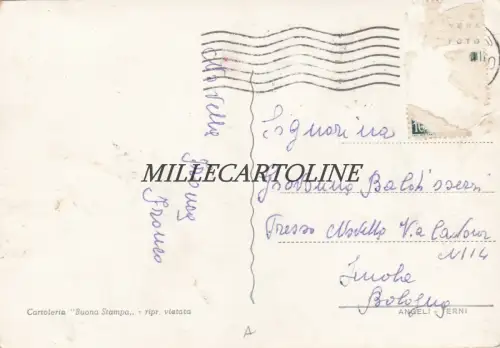 GEWICHT: Strand 1953