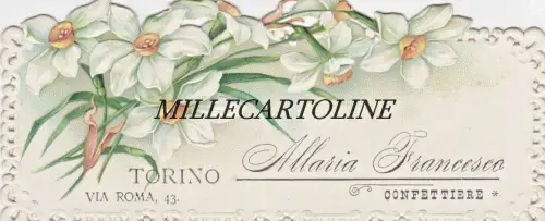 TURIN: Werbekarte Maria Francesco - Confetterie - via Roma