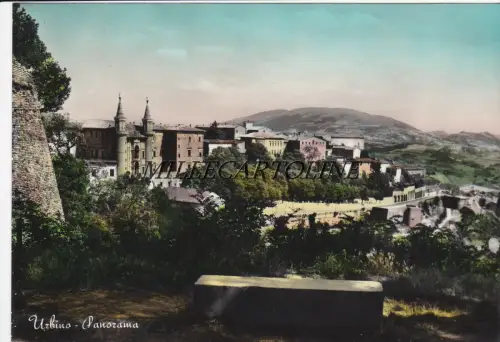URBINO: Panorama 1959