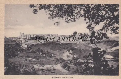 URBINO: Panorama (2)