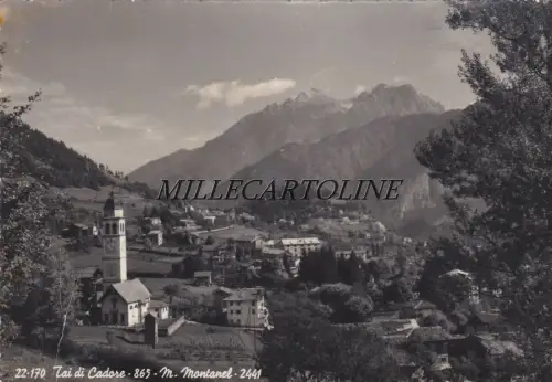 TAI DI CADORE: Panorama - M. Montanel 1954