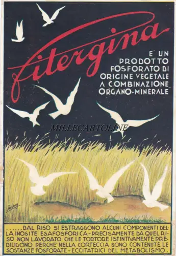 Werbung: Phytergina medical 1932