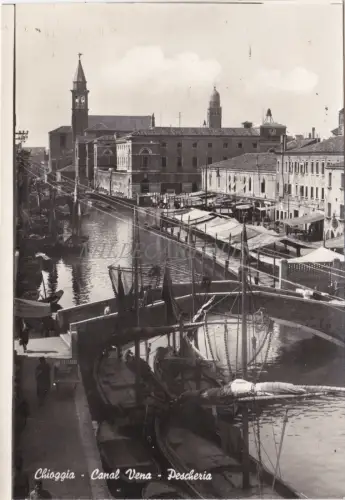 CHIOGGIA - Canal Vena, Pescheria - Retro Bianco