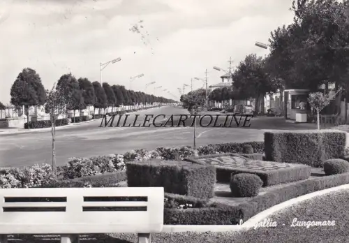SENIGALLIA: Lungomare 1961