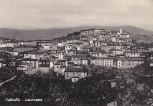 CALVELLO: Panorama 1958